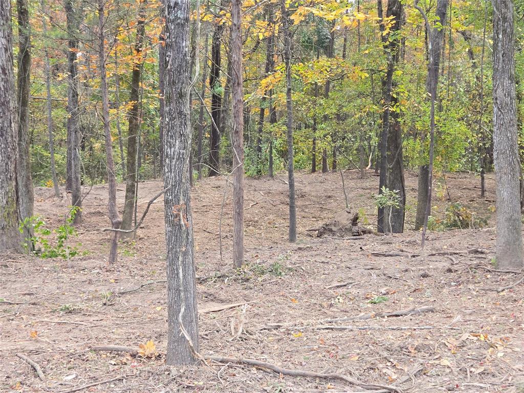 Timberline Subn - Land