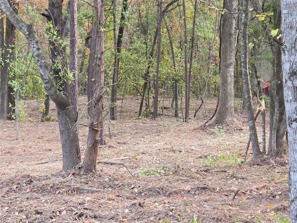 Timberline Subn - Land