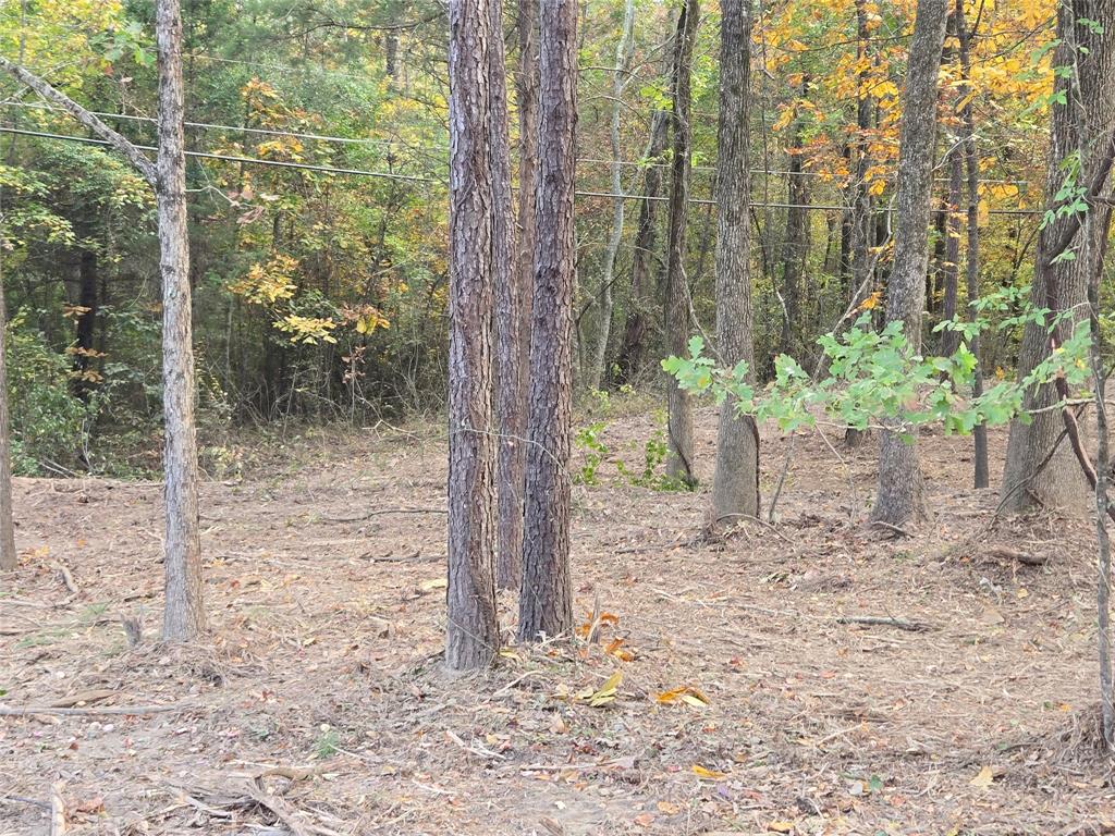 Timberline Subn - Land