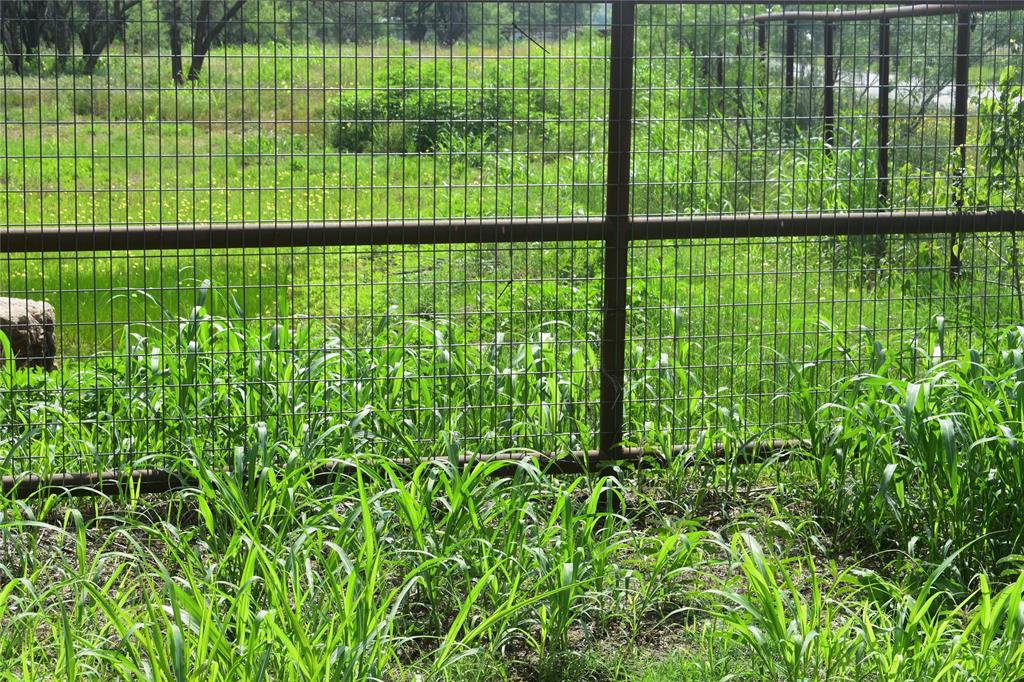 7.509 Acres AB 702 TR28 T&P RR CO - Land