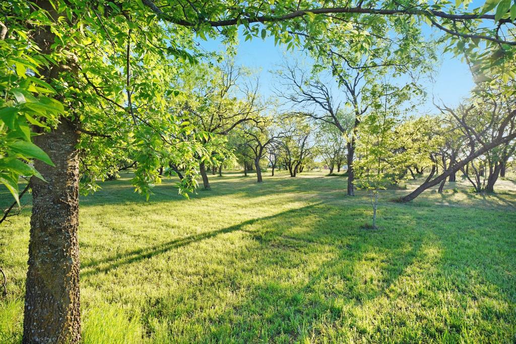 7.509 Acres AB 702 TR28 T&P RR CO - Land