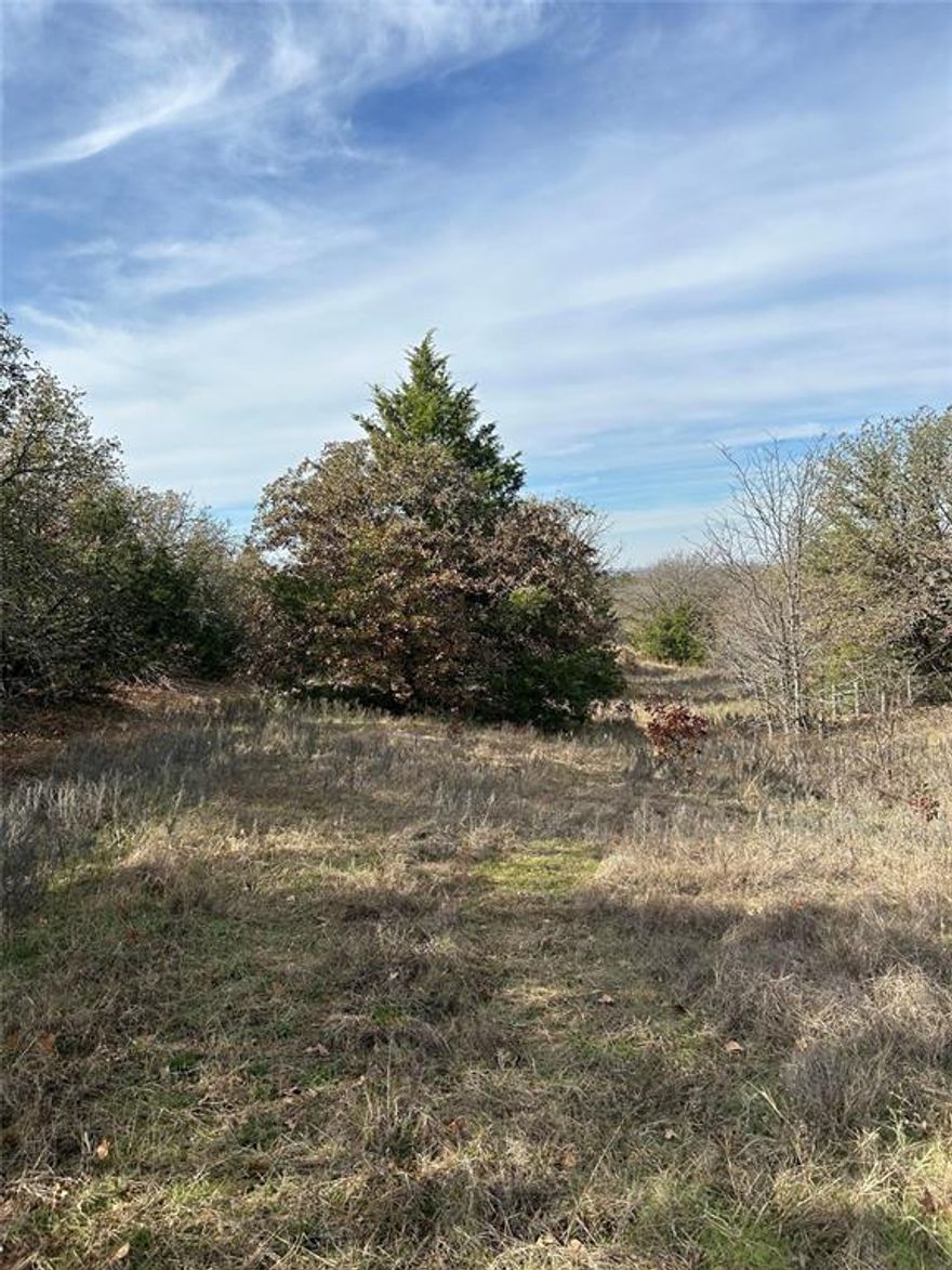 THE PROPERTY IS HEAVILY WOODED AND IS GREAT FOR HUNTING AND RECREATIONAL USE. IT IS BORDERED BY CORP LAND . PERFECT FOR THAT RECREATIONAL PLACE WITH A SHORT DRIVE FROM THE METROPLEX. ELECTRICITY AND COMMUNITY WATER ARE AVAILABLE. FOR VIEWING A ATV IS RECOMMENDED. THE PROPERTY IS UNDER A WILDLIFE EXEMPTION WITH THE COOKE COUNTY APPRAISAL DISTRICT. BUYER OR BUYER'S AGENT TO VERIFY ALL INFORMATION.
