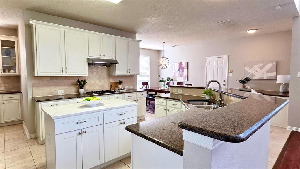 3628 Dripping Springs Drive