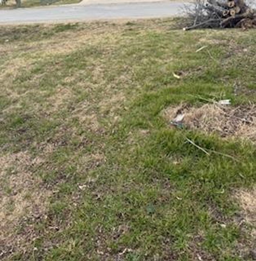 Discover the perfect opportunity to own a charming lot in the growing community of Ferris, TX. Ideal for a custom home or investment, this property offers small-town appeal with convenient access to nearby Dallas amenities. Enjoy quiet surroundings, open skies, and the freedom to create a space that fits your lifestyle. Whether you’re a builder, investor, or future homeowner, this lot provides a blank canvas in a city known for its welcoming atmosphere and steady growth. Don’t miss your chance to secure a piece of Ferris and bring your plans to life!