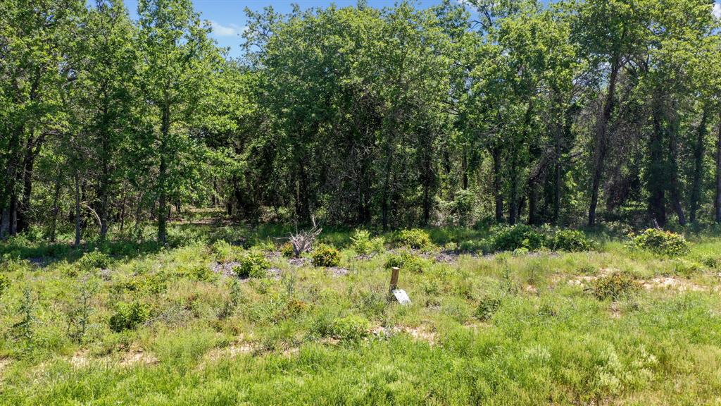 The Reserve At Shadle - Land