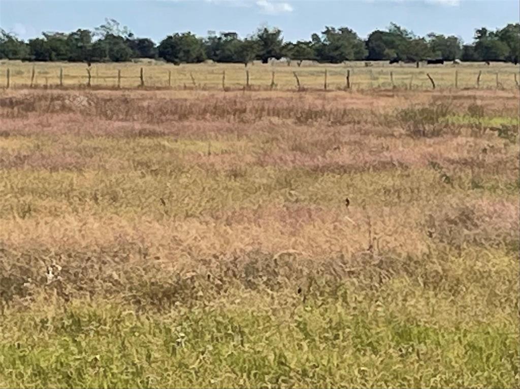 Meadows at Deer Crossing - Land