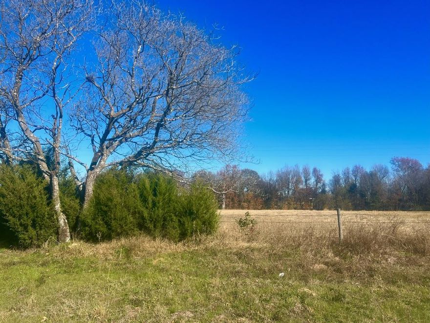 The right amount of acreage everyone is looking for!! This property is mostly cleared with a level terrain and a few trees to make it perfect for a home. With road frontage on Hwy 271 & FM 3384 you've got quick and easy access to town!
