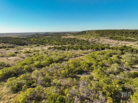 000 Big Country Trail Strawn TX 76475