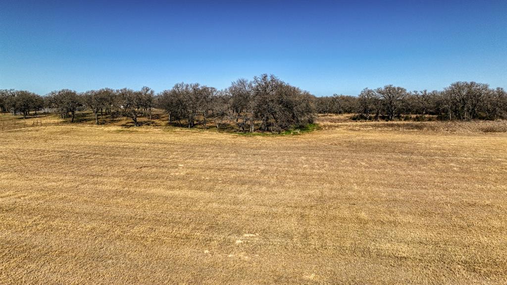 A-456 BENJAMIN JONES - Land