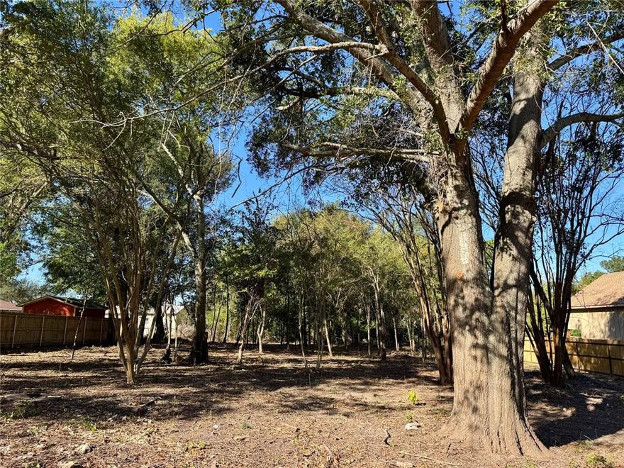 A newly cleared 1-acre lot with utilities, including a well. It's within walking distance to the East Texas Fair. Come and build on this stunning property. Seller will provide a survey.