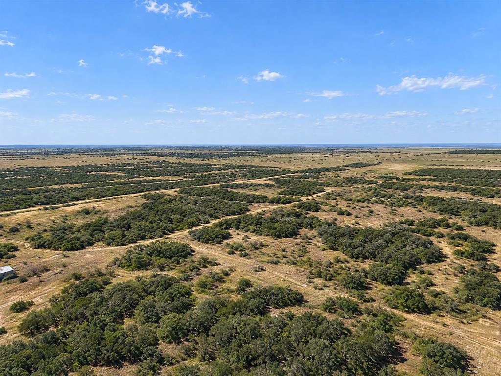 Lot 9 Tx-206
