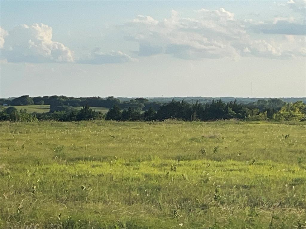 Plunkett cedar - Land