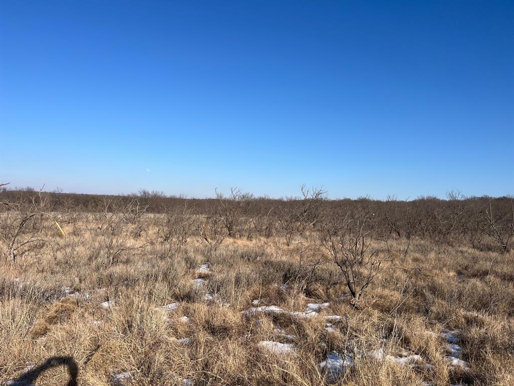 Tract 7 of 17 ac Burwick Road