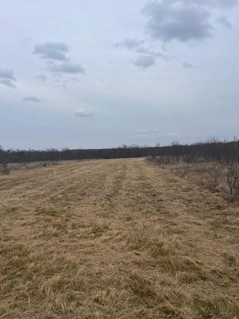 Tract 7 of 17 ac Burwick Road