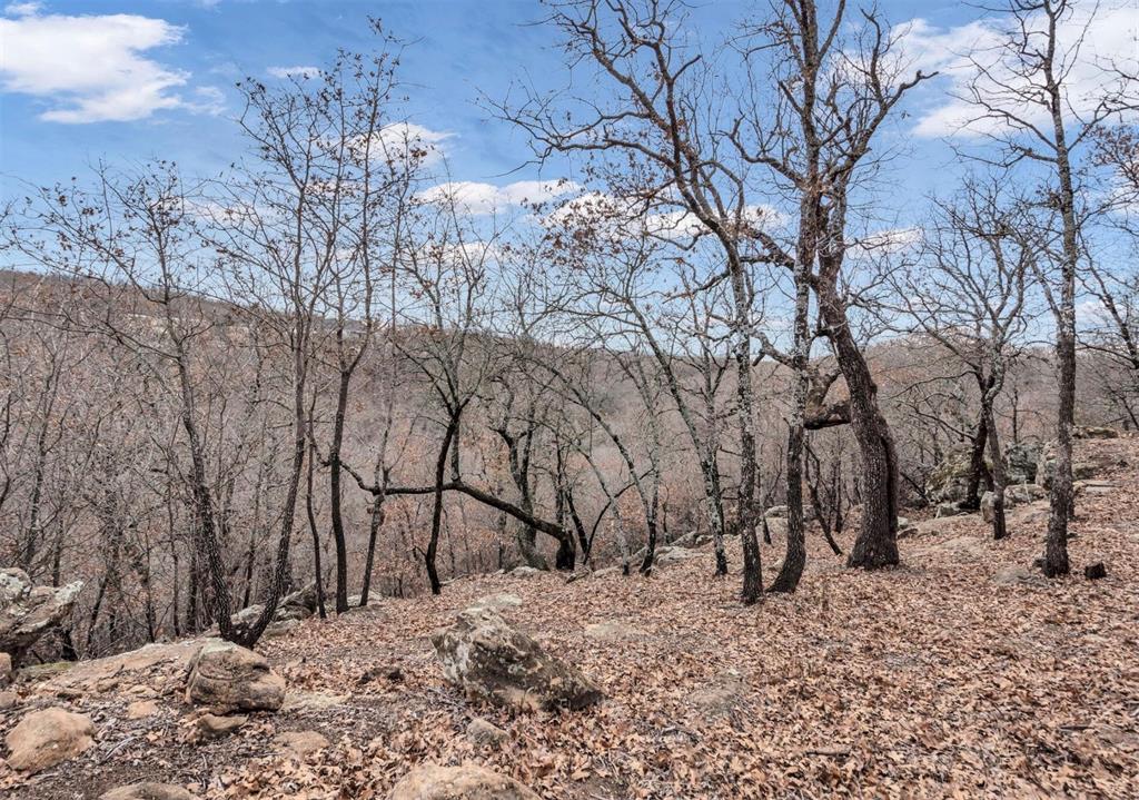 Silver Lakes Ranch - Land