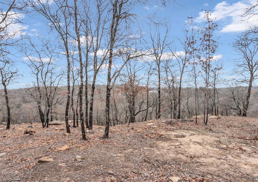 Silver Lakes Ranch - Land