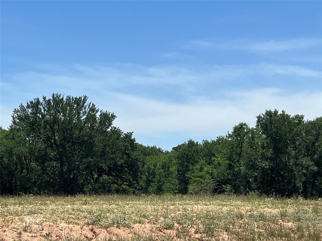 View Paradise, TX 76073 land