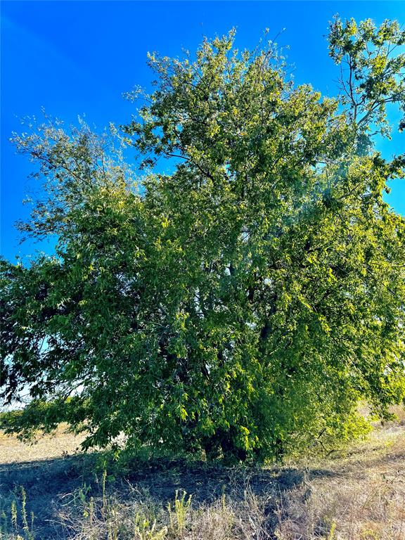 Rolling Ridge - Land