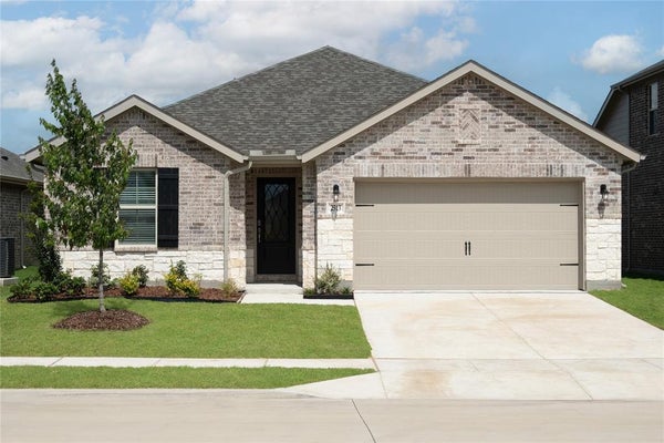 2513 FREEMAN ST, ANNA, TX 75409 - Image e1c30b2ad3bd9cb3960c56da790d8521/3104065367
