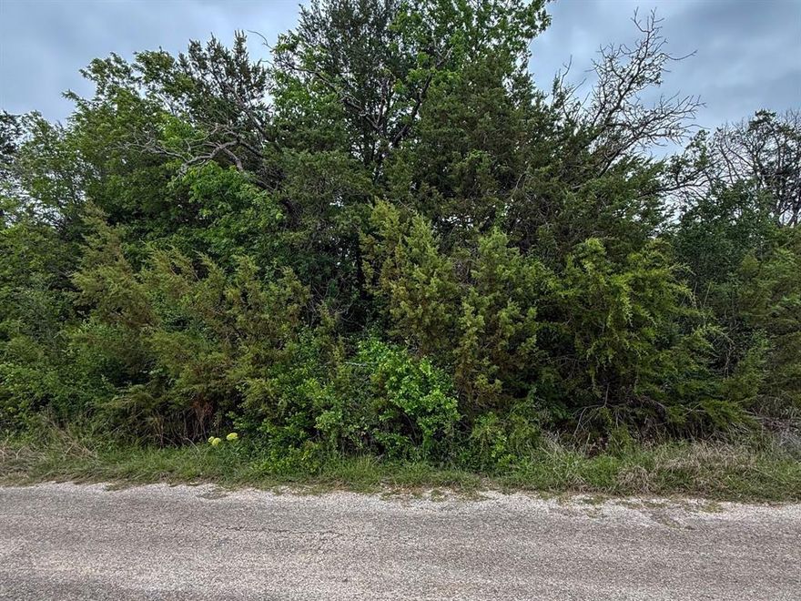 Positioned within the gated Canyon Creek community, this wooded lot offers a rare opportunity to secure an affordable entry into one of Granbury’s most sought-after lake access neighborhoods.

Surrounded by mature trees, this unimproved lot provides a private, natural setting, perfect for a custom build, weekend retreat, or strategic investment. With approximate dimensions of 52’ x 80’, it’s an ideal footprint for a thoughtfully designed home that maximizes both space and privacy.
Canyon Creek is known for its lifestyle-driven amenities, including gated security, multiple community pools, parks, playgrounds, sports courts, and a private boat ramp with direct access to Lake Granbury, making it easy to enjoy boating, fishing, and time on the water whenever you choose.

Whether you're looking to build now or hold for the future, this property offers flexibility, value, and long term potential in a rapidly growing area just minutes from downtown Granbury’s dining, shopping, and entertainment.