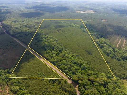 STATE HIGHWAY 126, OLLA, LA 71465 - Image e1f7bd589dcf8adaaa571deca32845a4/2000023291