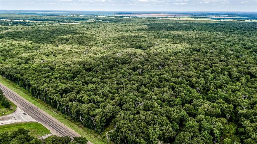 Heavily wooded and full of potential this 10-acre tract along Hwy 287 offers privacy, convenience, and freedom. Located just 30 minutes from both Corsicana and Palestine, and only 10 minutes from the 309 Park Public Boat Ramp at Richland Chambers Lake, it’s an ideal blend of seclusion and access. Whether you're looking to build a private homestead, cabin getaway, or explore commercial ideas, the options are wide open with no deed restrictions. Electricity is available at the road. With great road frontage and thick, mature trees, this is a rare find in a fast-growing area.