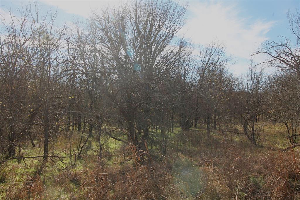 Lot 21 Cheyenne Drive