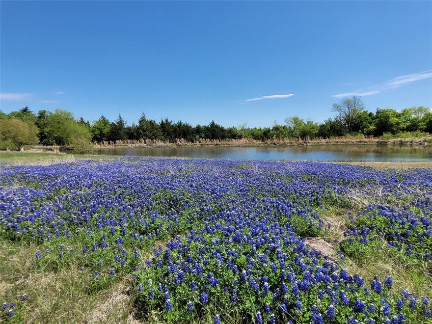 Discover the perfect opportunity to create your dream country escape with this charming 3-bedroom home situated on 6 beautiful acres in the desirable Crandall ISD. Conveniently located less than 20 minutes from downtown Dallas, this property offers over 600 feet of frontage along Highway 175, combining accessibility with peaceful rural living.

This handyman special is full of character and ready for your vision. Built on a pier-and-beam foundation, the home features hand-finished hardwood floors throughout the common areas and bedrooms, two spacious living areas, and two cozy fireplaces—providing a solid foundation with great bones.

The property also includes a 960 sq ft detached building, already plumbed for a bathroom and laundry room—perfect for a guest house, workshop, or rental opportunity.

Outdoor features make this property truly special:

Two scenic ponds
Open pasture land ideal for livestock or horses
Stables and covered parking for farm equipment
Mature oak trees and natural privacy
Rear boundary backing up to undeveloped farmland

Whether you’re looking to renovate, invest, or build your ideal countryside retreat, this property offers unmatched potential.

Cash-only offers. Bring your imagination and make it your own!