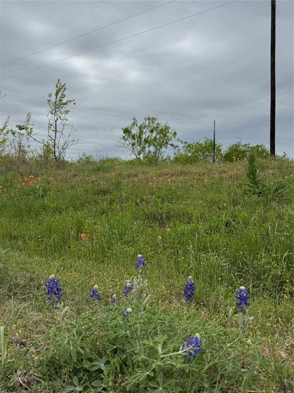 WRIGHT ABST TRACT 9K 10.05 - Land