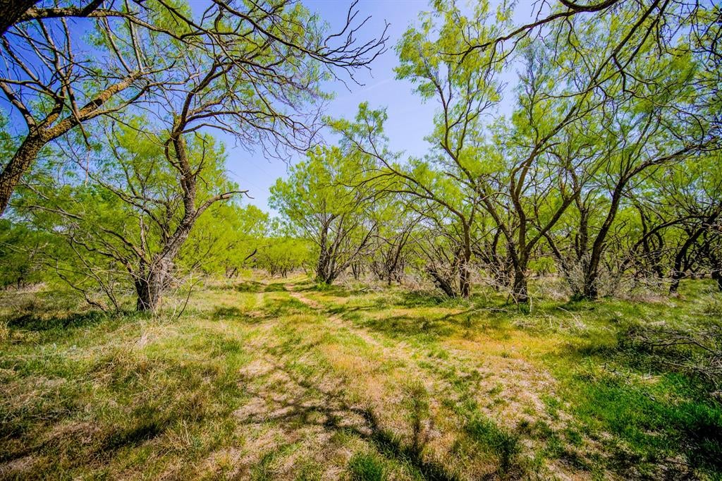 100 Acres FM 2950