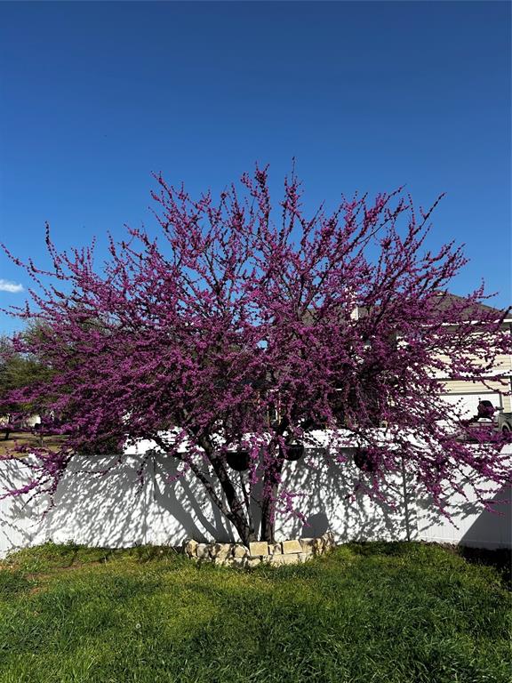 Providence Village, Texas 76227, United States, 4 Bedrooms Bedrooms, ,3 BathroomsBathrooms,Residential,Active,134958