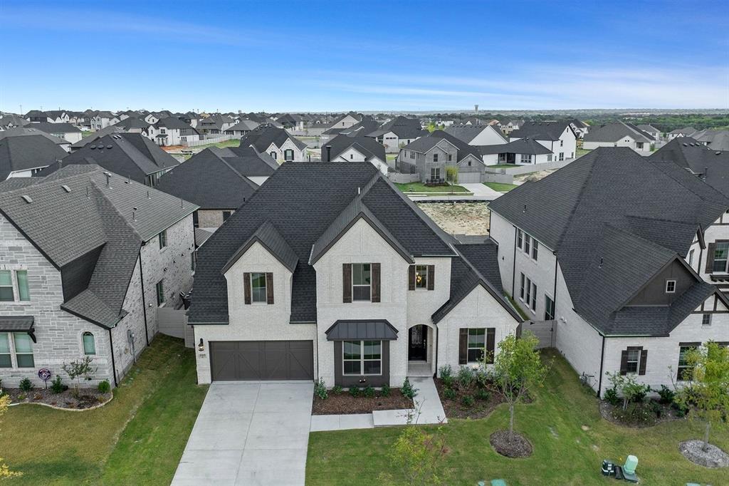 Painted Tree - Residential