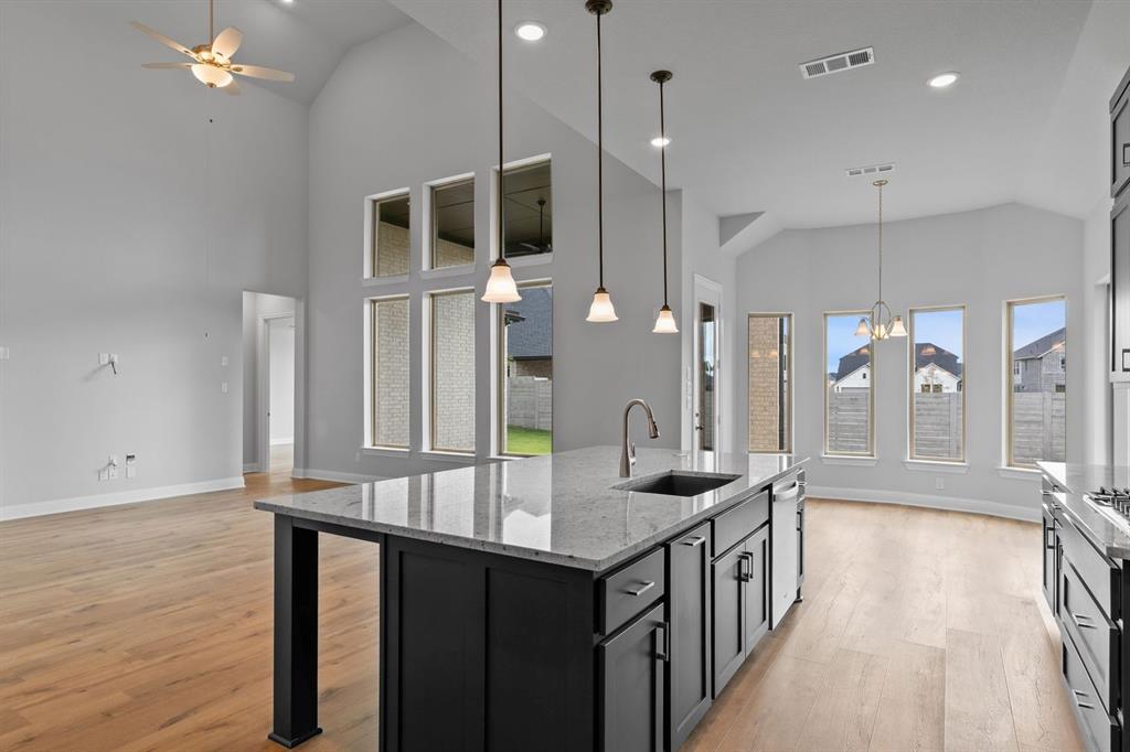 Painted Tree - Residential