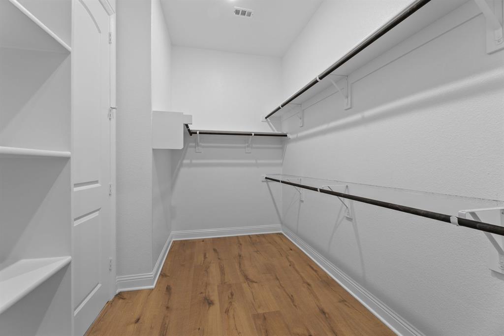 Painted Tree - Residential