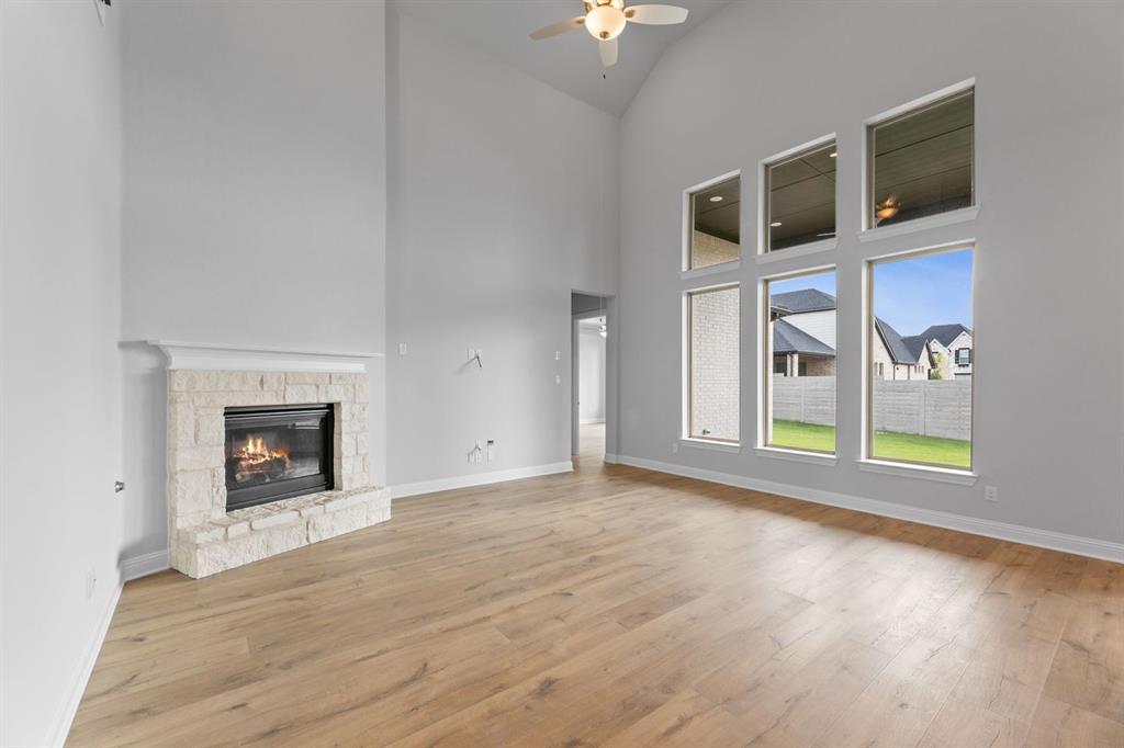 Painted Tree - Residential