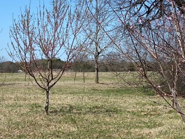 WHITE ABST TRACT 4 - Land