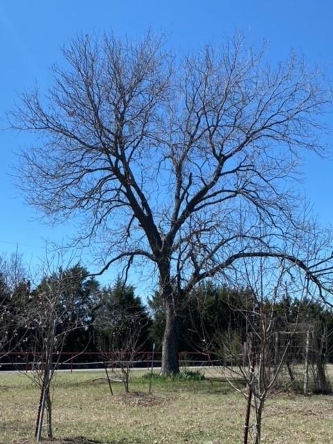 WHITE ABST TRACT 4 - Land