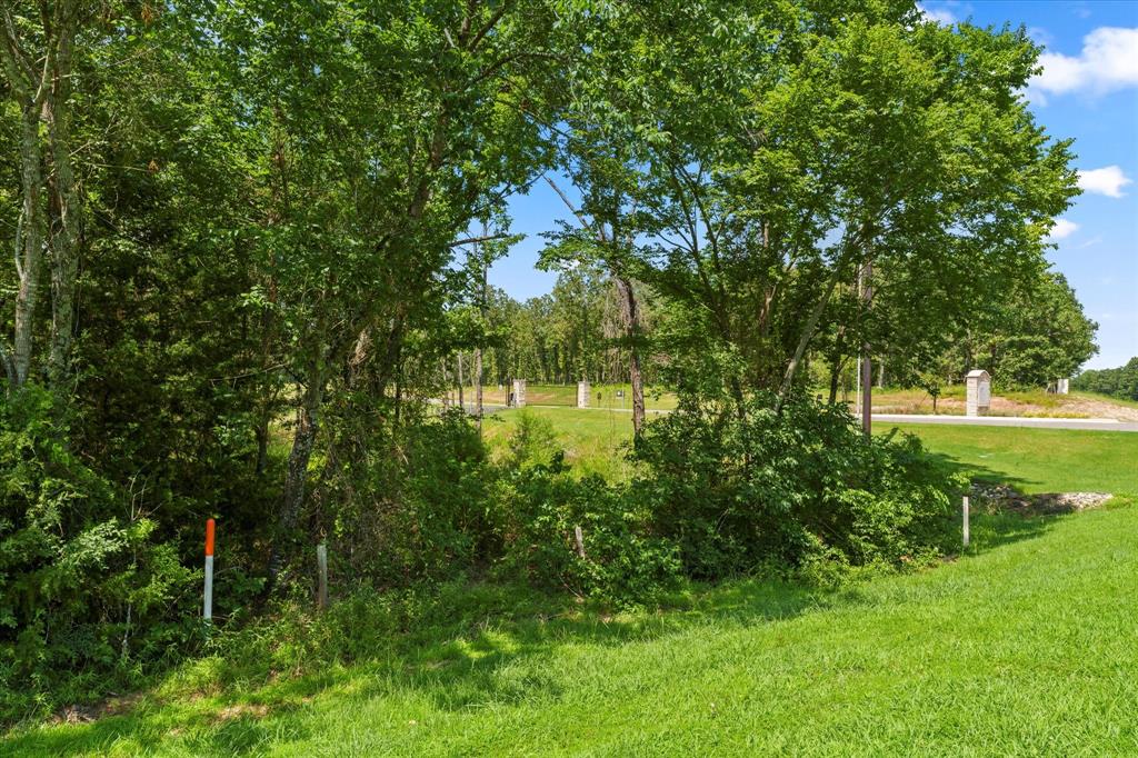 Angler Shores - Land