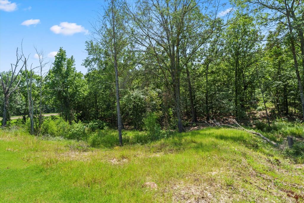 Angler Shores - Land