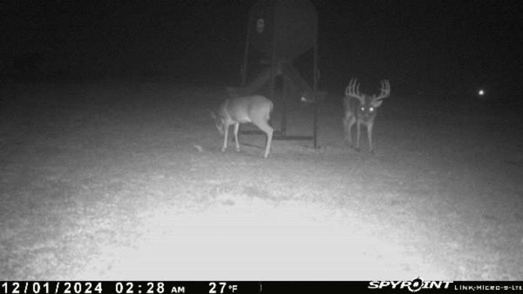 Jh Chaffin Surv Abs #311 - Residential