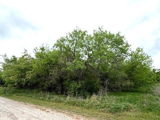 MCALISTER ST, MINGUS, TX 76463 - Image e27bfdb43320fddbf8b3a1d0a90bbb06/1247567556