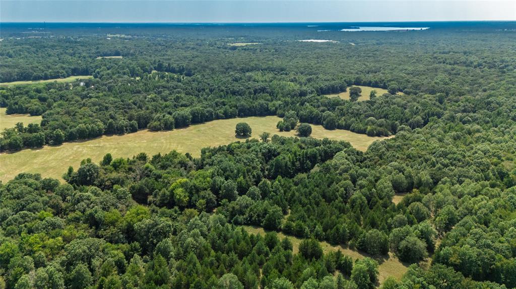 Rural 43.5 Acres - Land