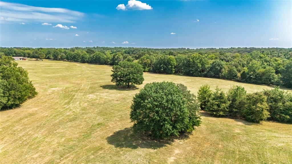 Rural 43.5 Acres - Land