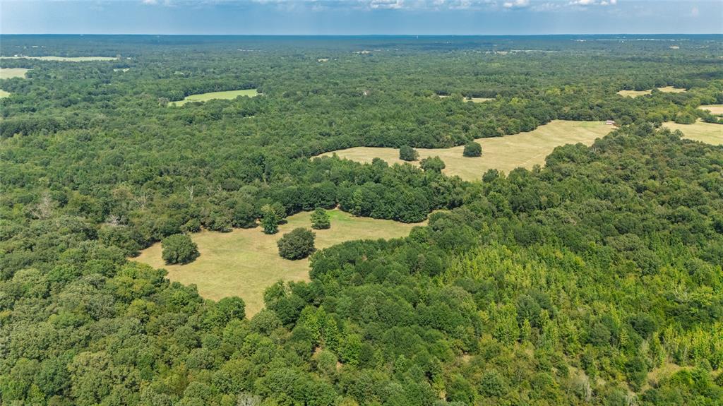 Rural 43.5 Acres - Land