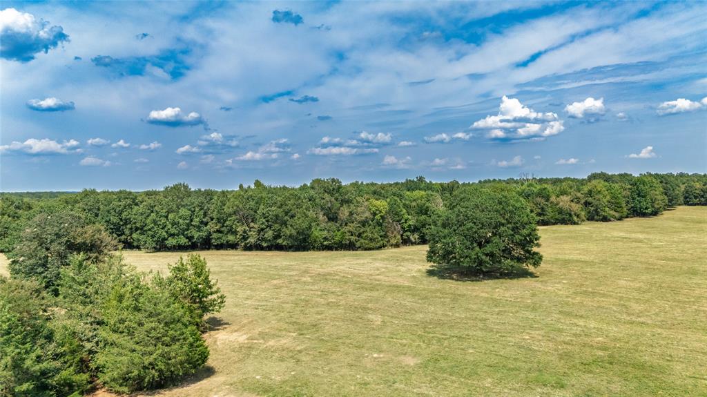 Rural 43.5 Acres - Land