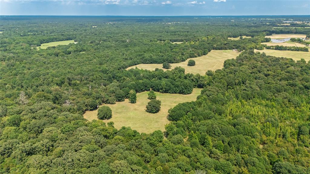 Rural 43.5 Acres - Land