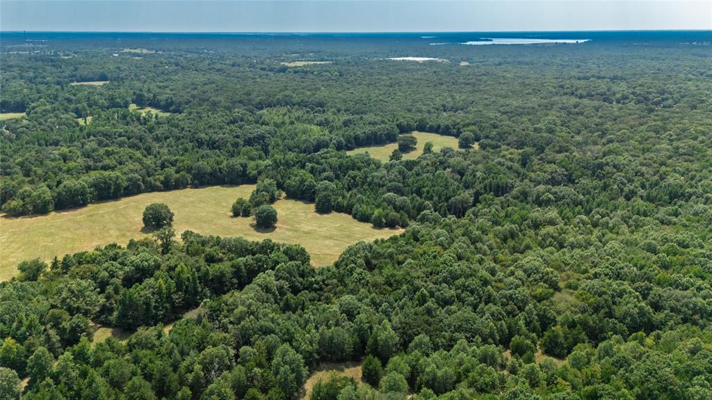43 Acres FM 69