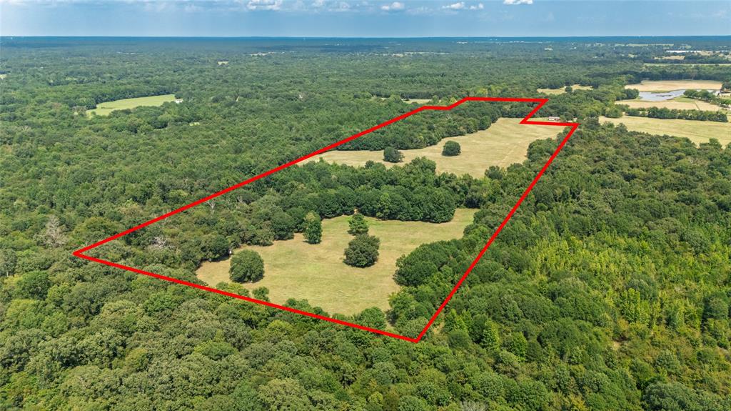 Rural 43.5 Acres - Land