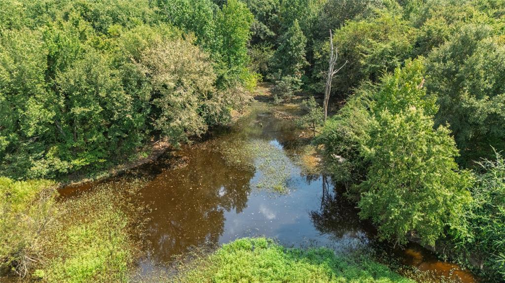 Rural 43.5 Acres - Land