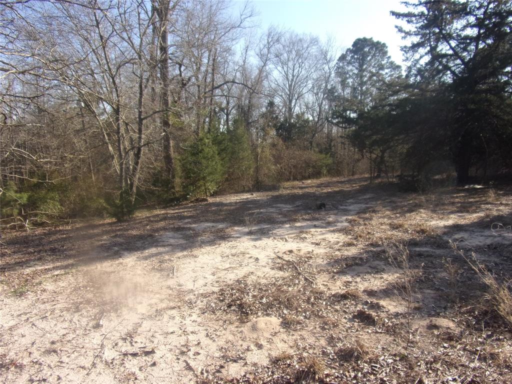 592 Maple Drive